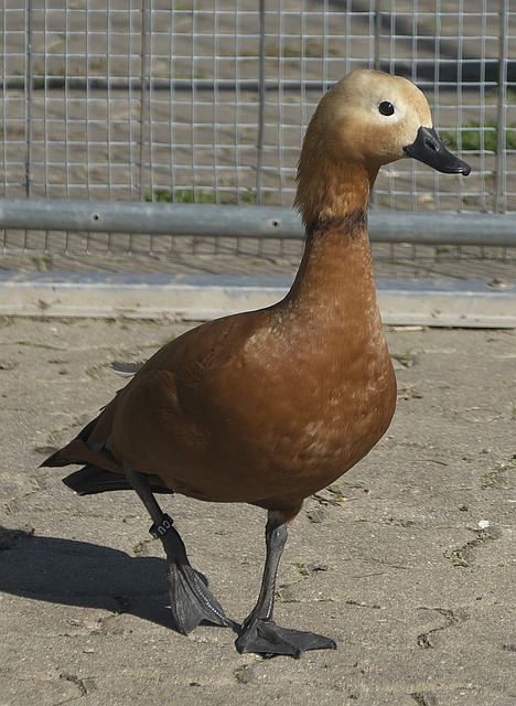 启示