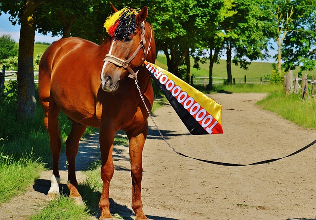 随着球队重 随着球队重