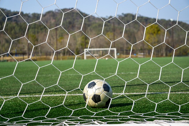 球員的比較 球員的比較