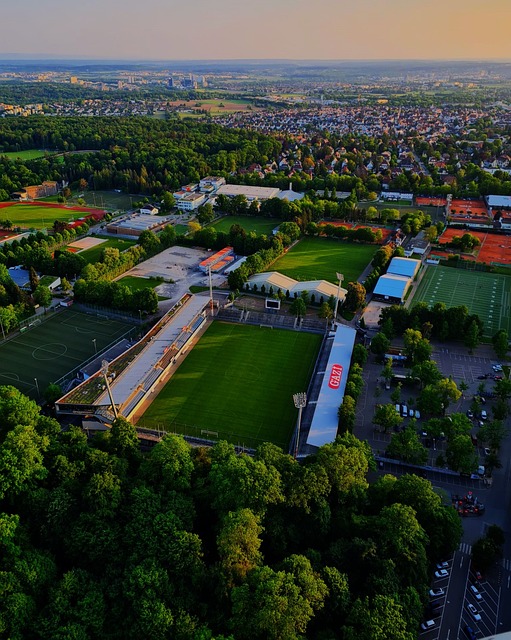 在未来的斯 在未来的斯